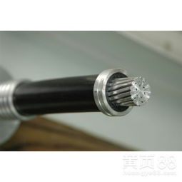 西安絕緣導線 技術賦能，守護古城電力安全